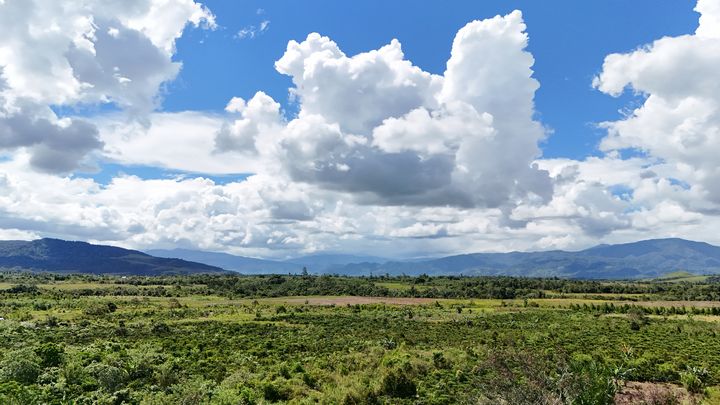 Agroforestry landscape in Lore Lindu Biosphere, Sulawesi, Indonesia. (c) Bernd Unger An agroforestry landscape under blues sky with white clouds in the Lore Lindu Bisosphere, Sulawesi, Indonesia